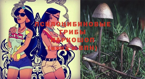 прущий лед Белокуриха