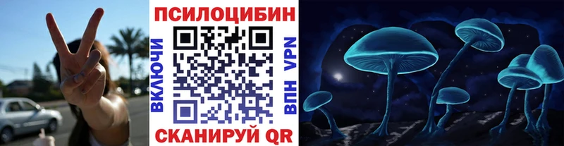 Купить закладки  Сясьстрой  Галлюциногенные грибы GOLDEN TEACHER 